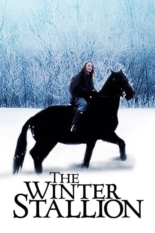 The Christmas Stallion (1992) poster