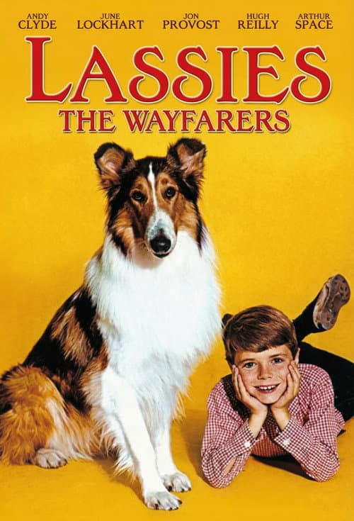 Lassie: The Wayfarers (1964) poster