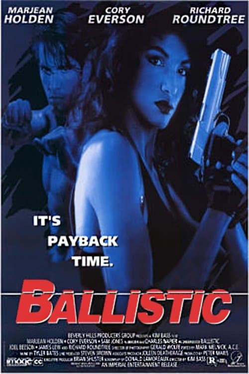Fist Of Justice (1995) poster