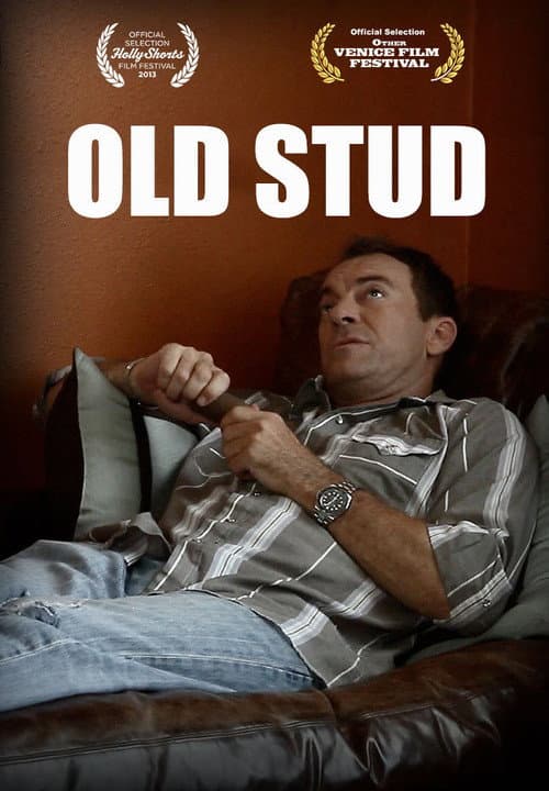 Old Stud (2013) poster