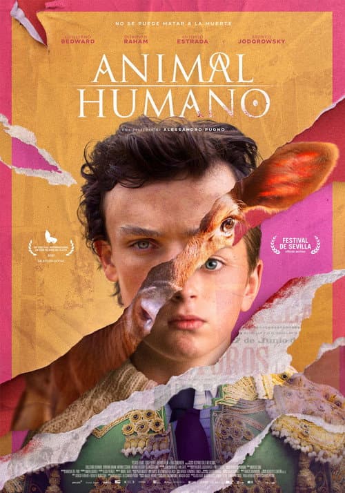 ​​Animal | Humano (2024) poster