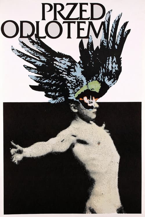Przed Odlotem (1980) poster