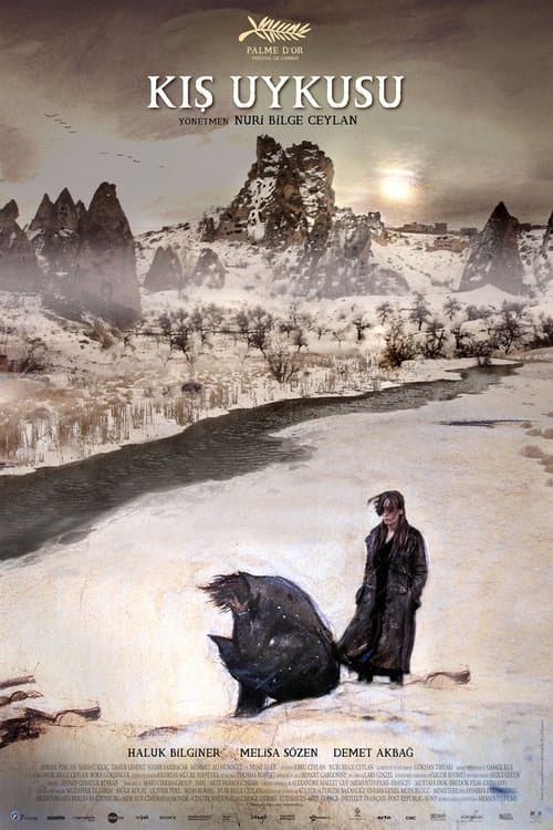 Winter Sleep (2014) poster
