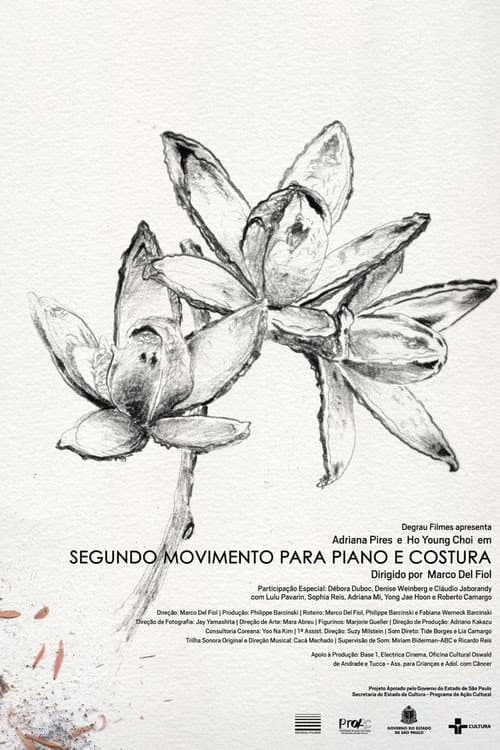 Segundo Movimento para Piano e Costura (2011) poster