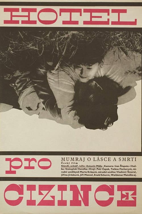 Hotel pro cizince (1967) poster