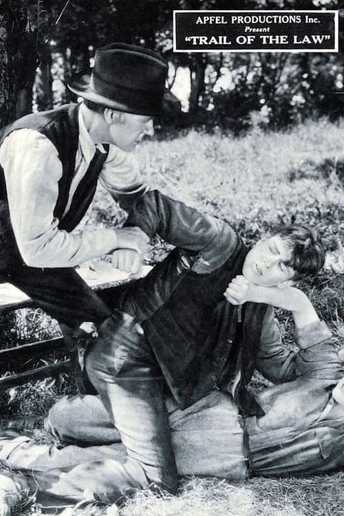 The Trail of the Law (1924) poster