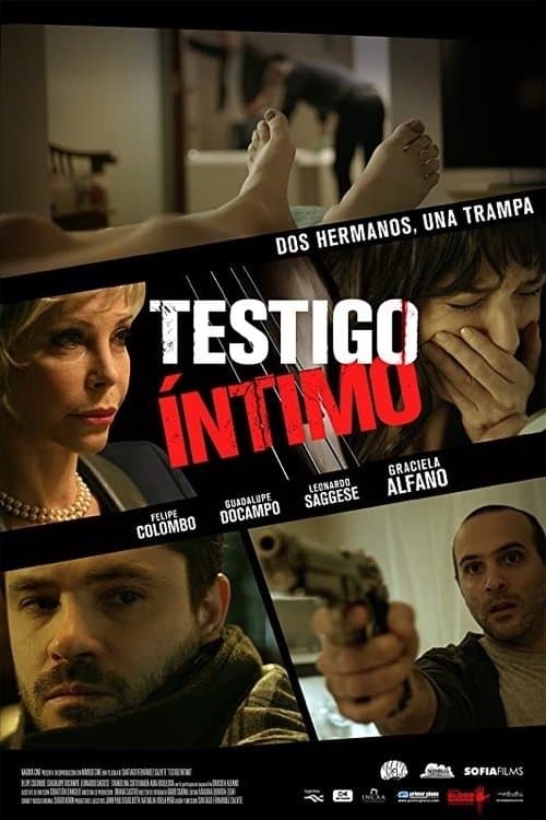 Testigo íntimo (2015) poster
