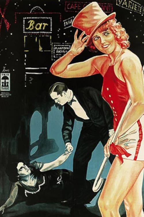 Die Dame in Schwarz (1928) poster