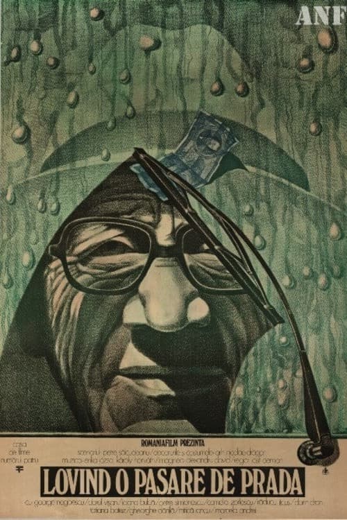 Lovind o pasăre de pradă (1983) poster