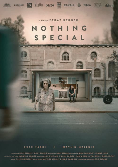 Nothing Special (2024) poster