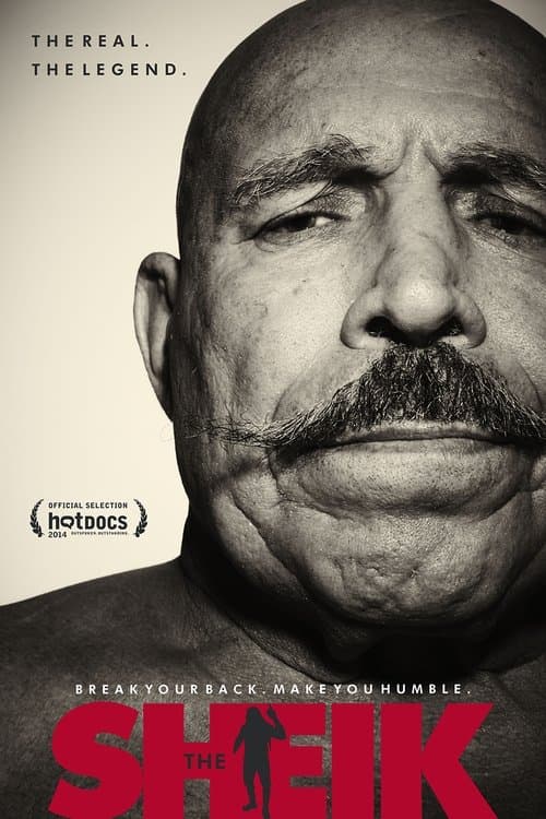 The Sheik (2014) poster