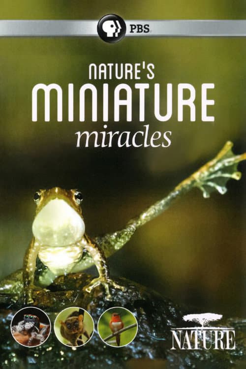 Nature's Miniature Miracles (2017) poster