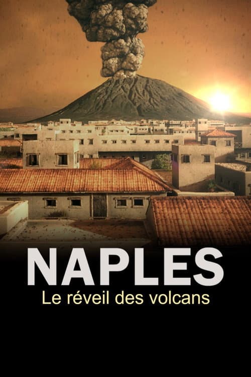 The Next Pompeii? (2019) poster