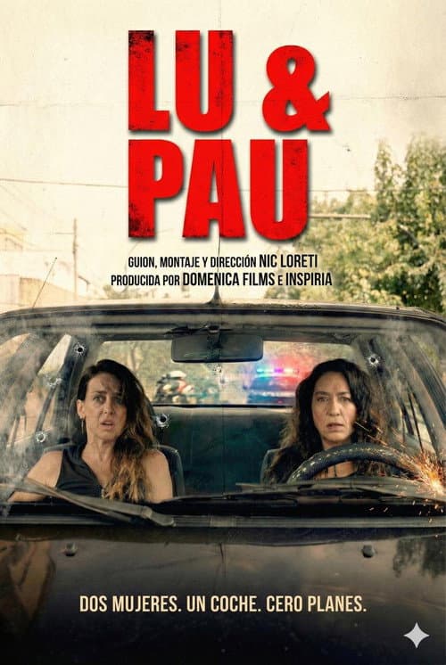 Lu & Pau (2026) poster