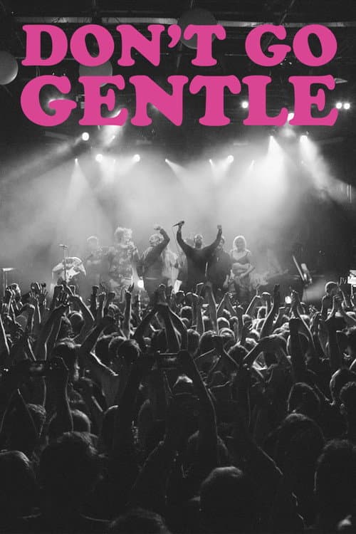 Don't Go Gentle: A Film About IDLES (2020) poster
