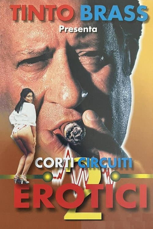 Corti circuiti erotici Vol.2 (1998) poster
