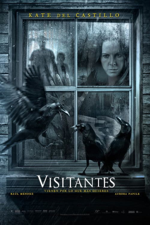 Visitantes (2014) poster