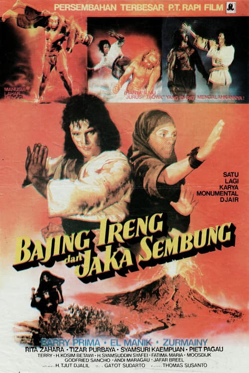 Jaka Sembung & Bergola Ijo (1985) poster