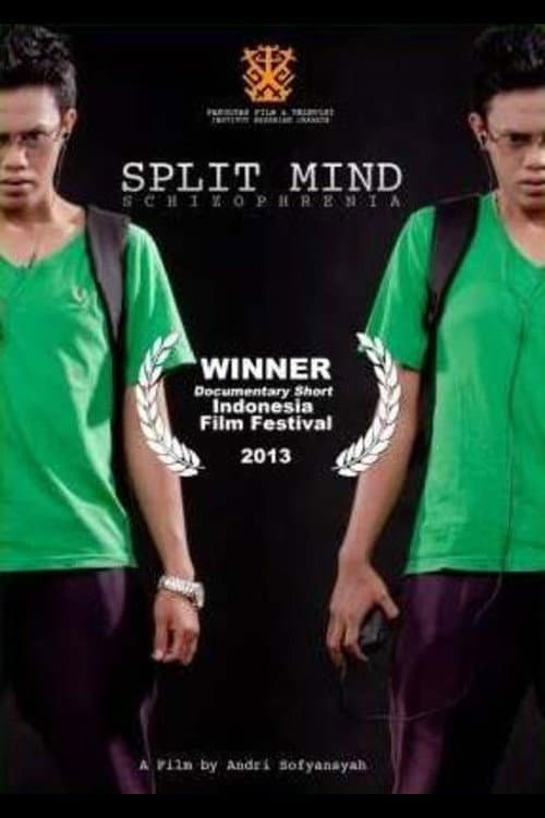 Split Mind (2013) poster