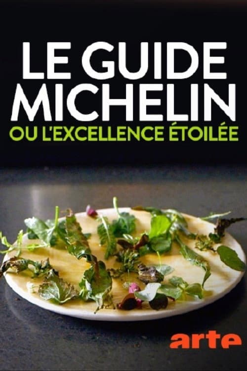 Le guide Michelin ou l'excellence étoilée (2017) poster