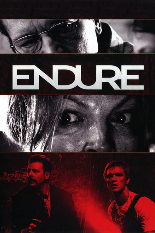 Endure (2010) poster