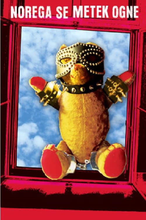 Norega se metek ogne (2004) poster