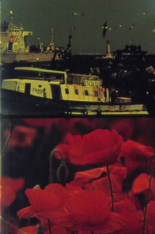 Voiliers et Coquelicots (2001) poster