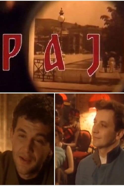 Raj (1993) poster