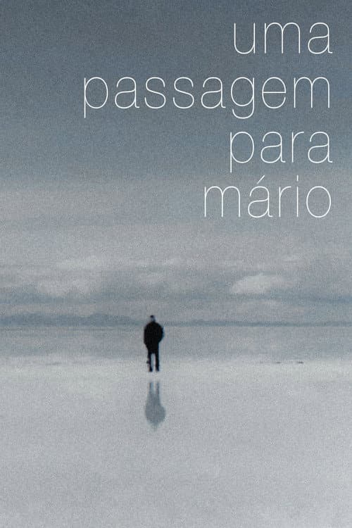 Uma Passagem para Mário (2013) poster