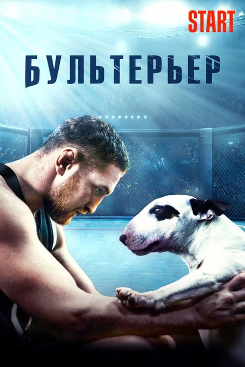 Бультерьер (2022) poster