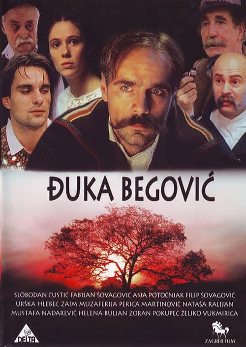 Đuka Begović (1991) poster