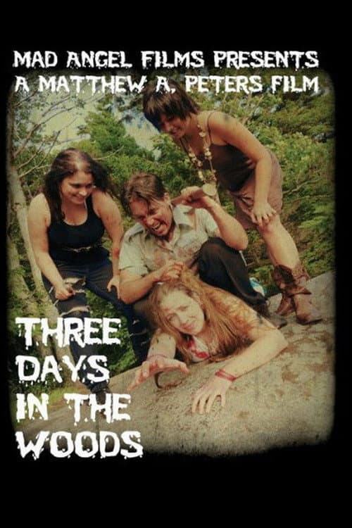 Three Days in the Woods (2010) poster