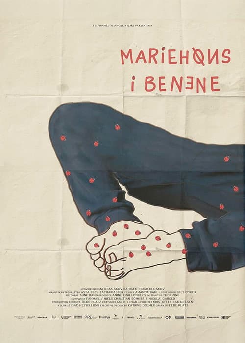 Mariehøns i benene (2024) poster