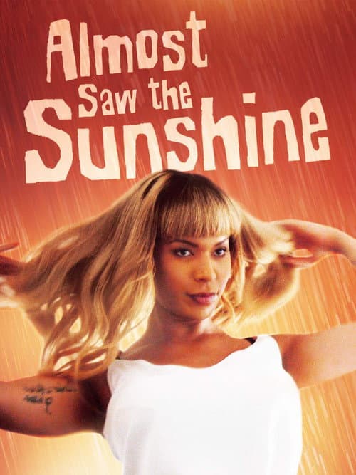 Almost Saw the Sunshine (2017) poster