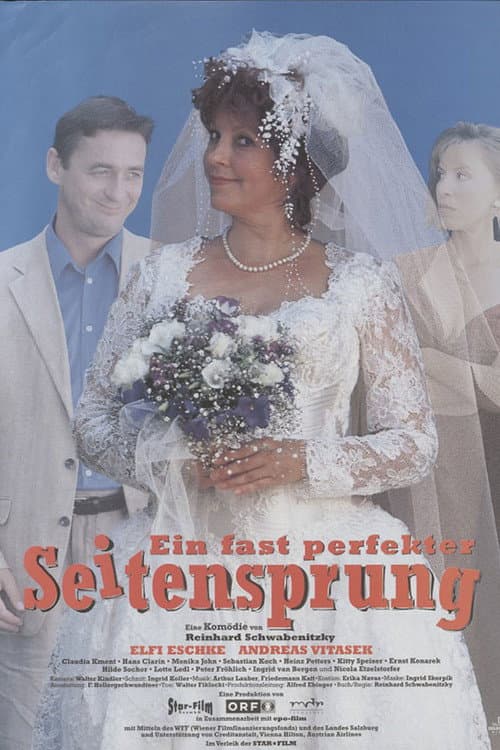Ein fast perfekter Seitensprung (1996) poster