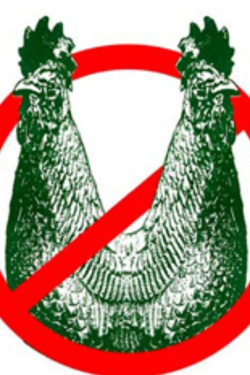 Joey Skaggs: Stop BioPEEP (2024) poster