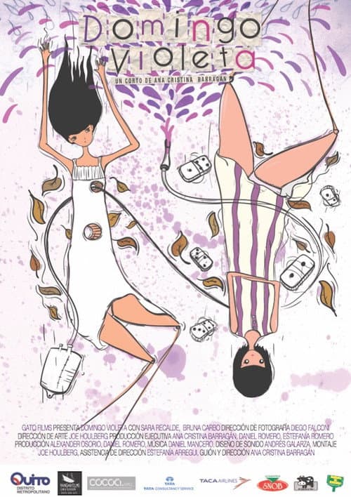 Domingo Violeta (2011) poster