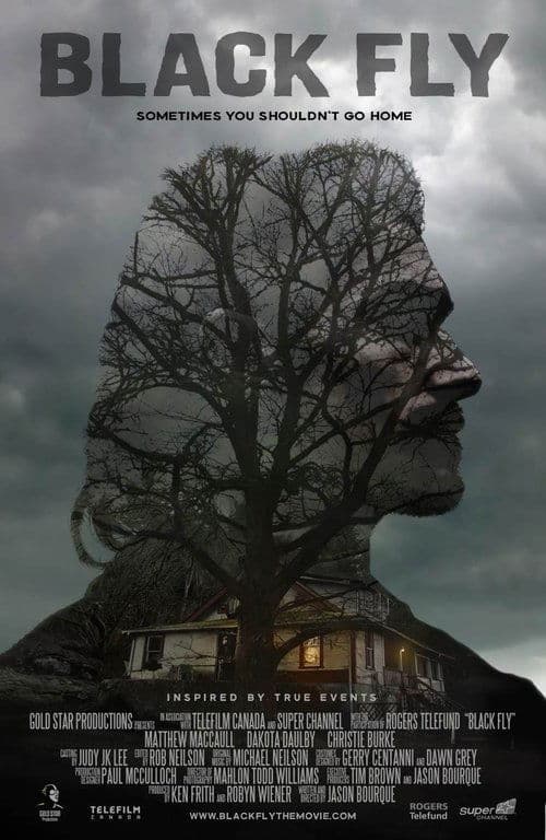 Black Fly (2014) poster