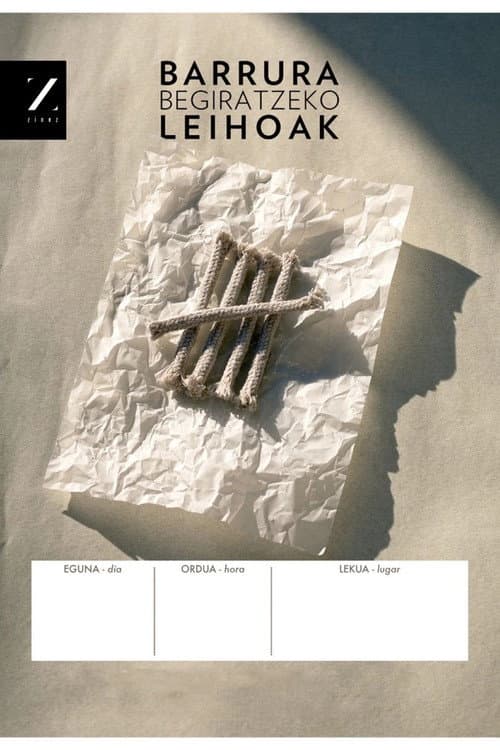 Barrura begiratzeko leihoak (2012) poster