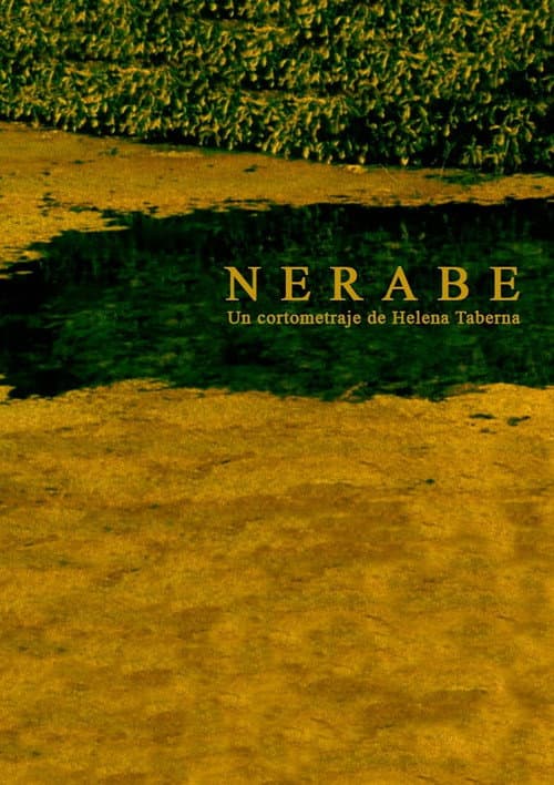 Nerabe (1996) poster