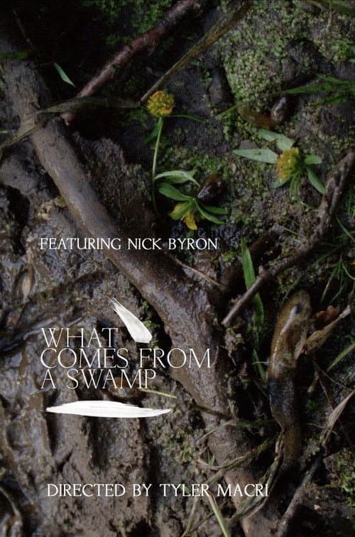 What Comes from a Swamp (2017) poster