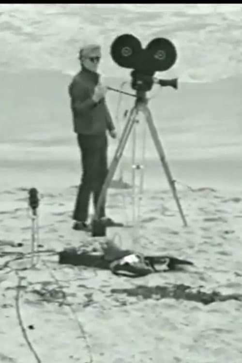 Andy Makes a Movie (1967) poster