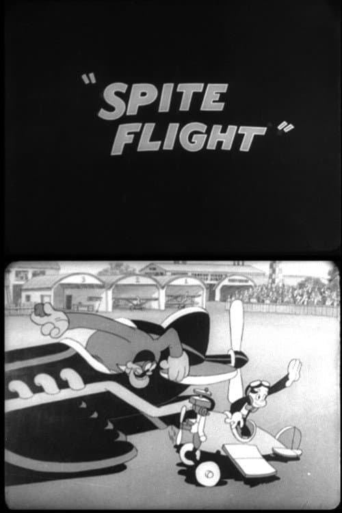 Spite Flight (1933) poster
