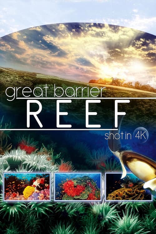 Great Barrier Reef 4K (2018) poster