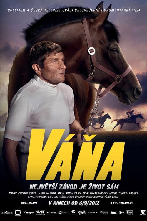 Váňa (2012) poster