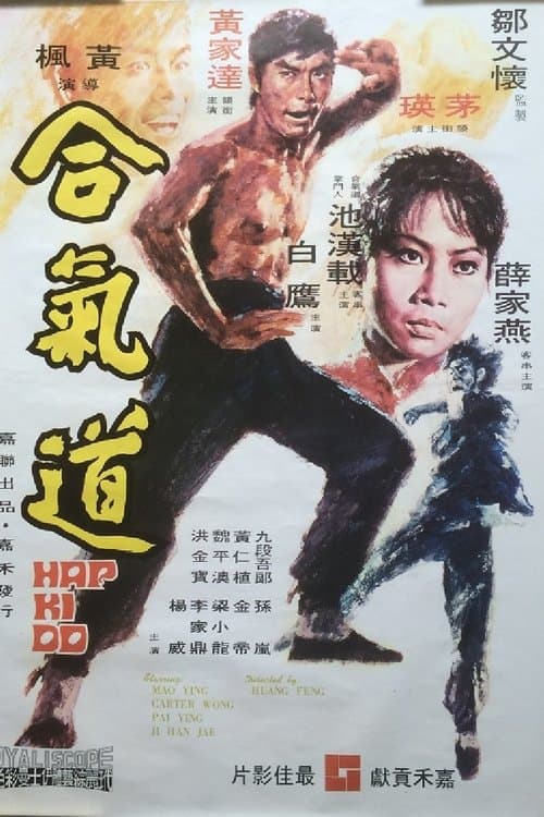 Hapkido (1972) poster