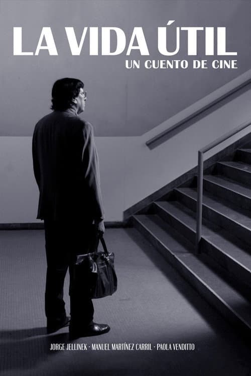 La vida útil (2010) poster