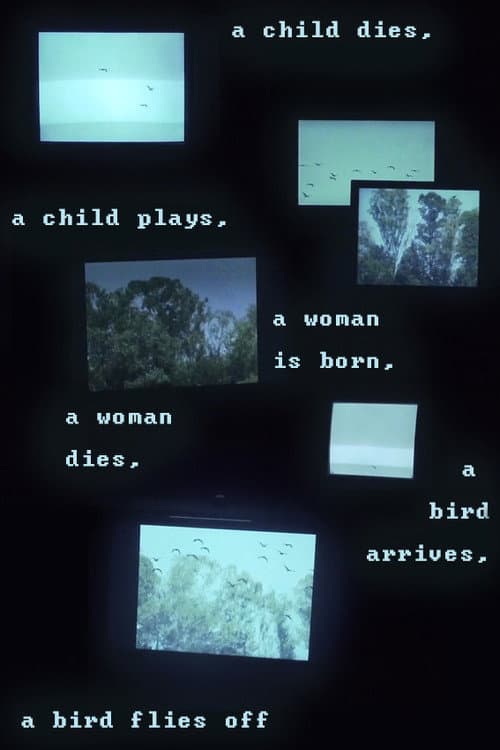 A child dies, a child plays, a woman is born, a woman dies, a bird arrives, a bird flies off (2018) poster
