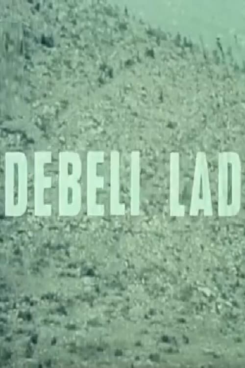 Debeli lad (1978) poster