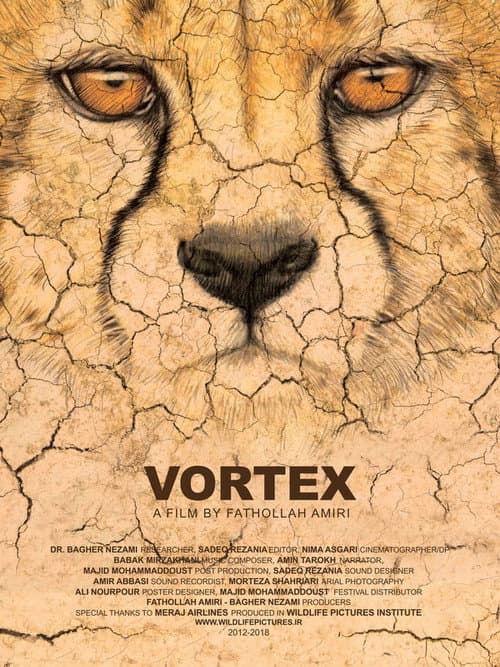 Vortex (2018) poster